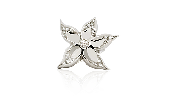 Silber Zirkonia Ring mit Edelweiss Stern