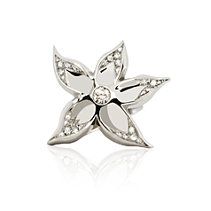 Silber Zirkonia Ring mit Edelweiss Stern